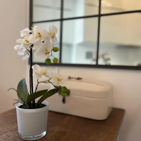 Apartment Fantastic In Prime Location - Center West